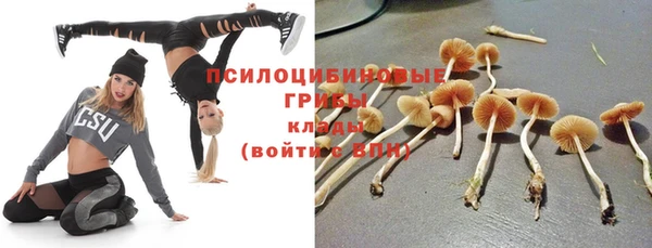 бошки Переславль-Залесский