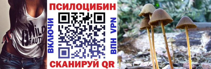 гидра ONION  Семикаракорск  Псилоцибиновые грибы MAGIC MUSHROOMS 